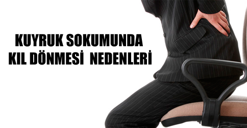 Kuyruk sokumu bölgesi